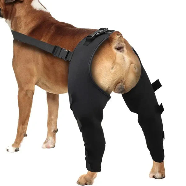 Dog Joint Relief Brace