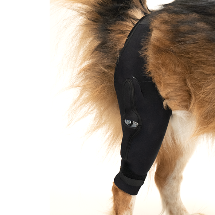 Dog Joint Relief Brace